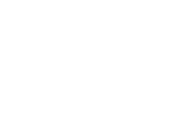 Primary Logo - White